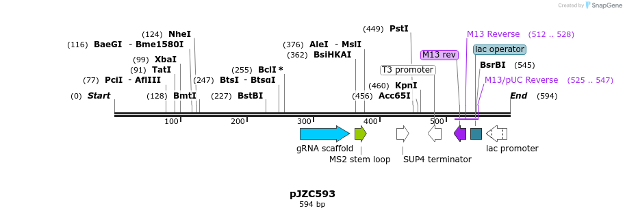 107364_map