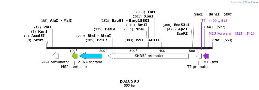 107365_map