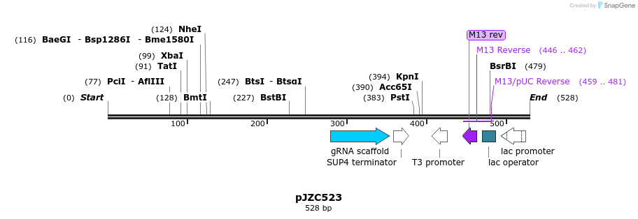 107368_map
