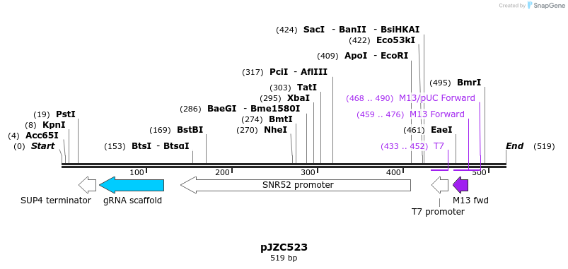 107369_map