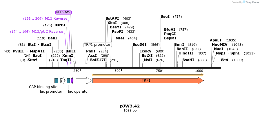 107370_map