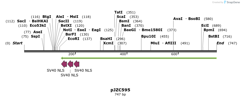 107373_map