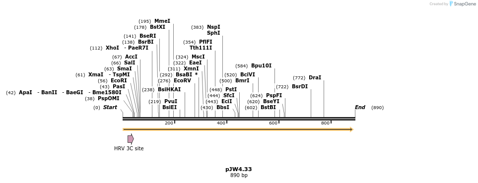 107375_map