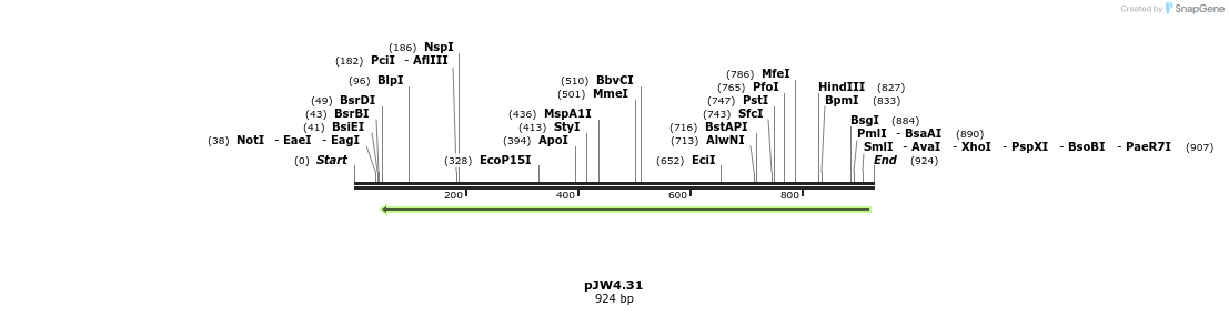 107377_map