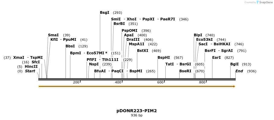 10738_map