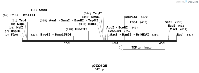107380_map