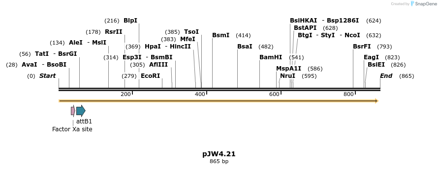 107381_map