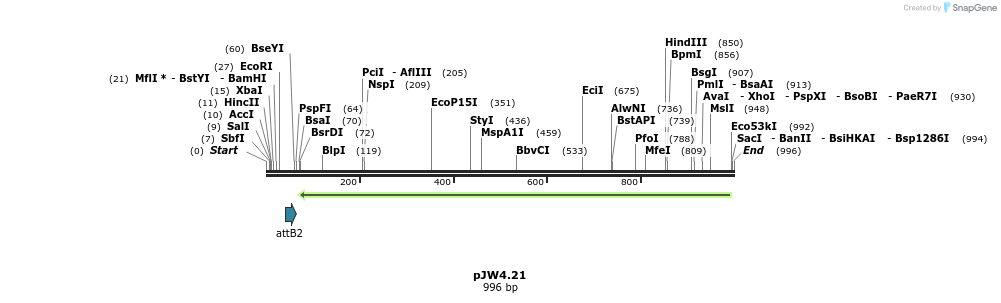 107382_map
