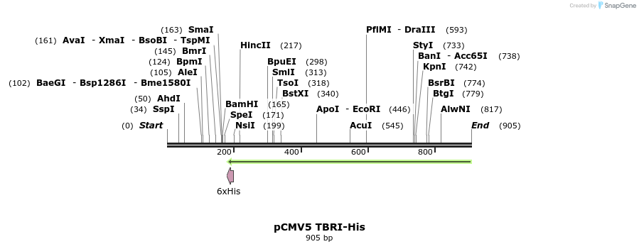 107386_map