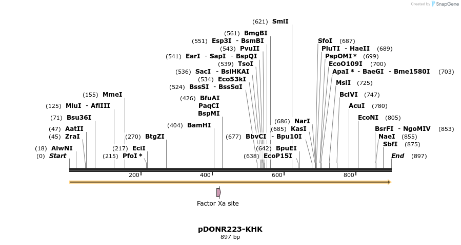 10739_map