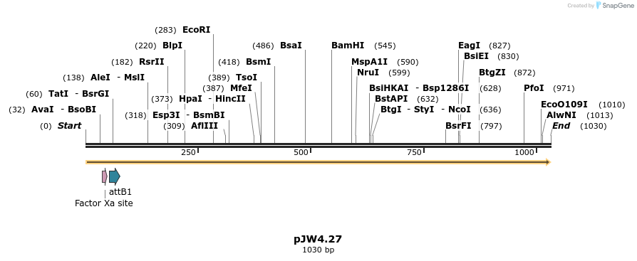 107392_map