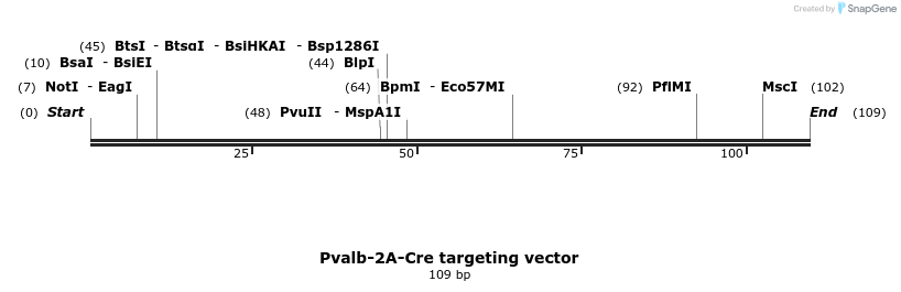 107397_map