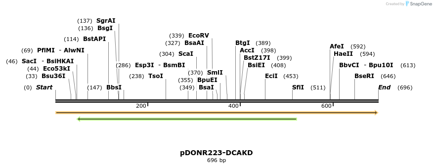 10740_map