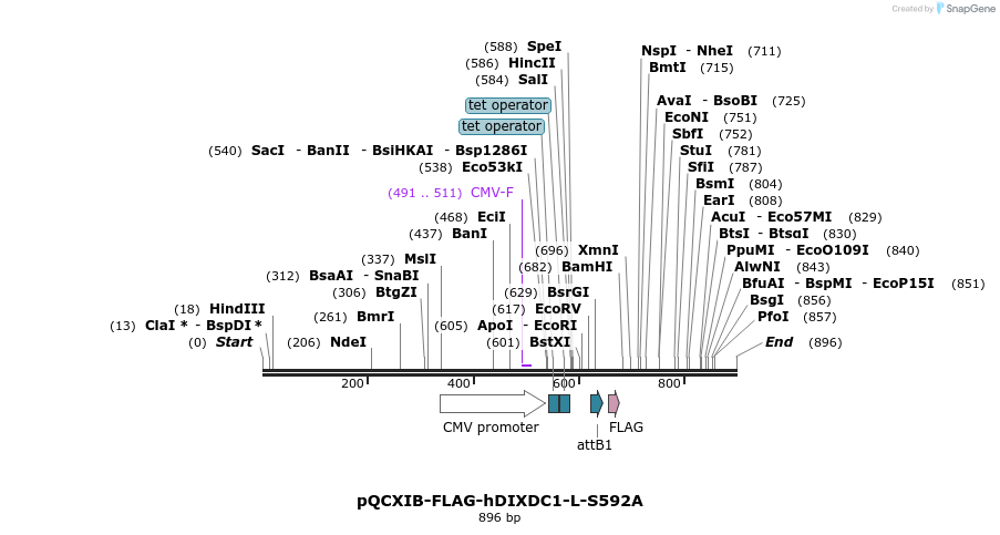 107401_map