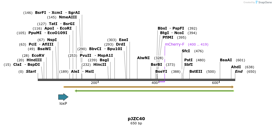 107402_map