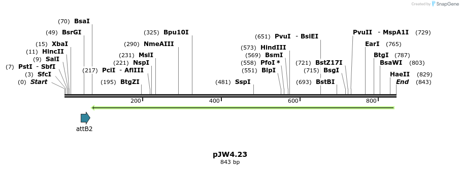 107405_map