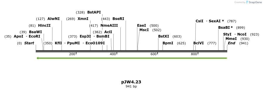 107407_map