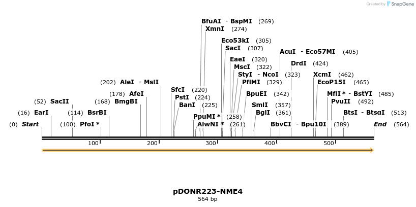 10741_map