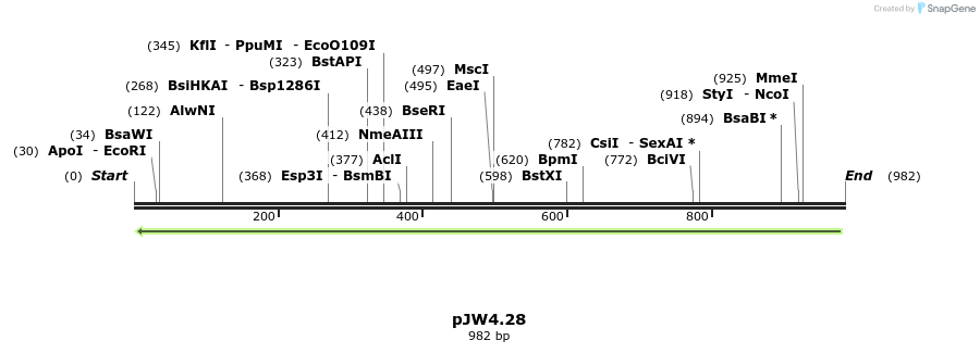 107411_map