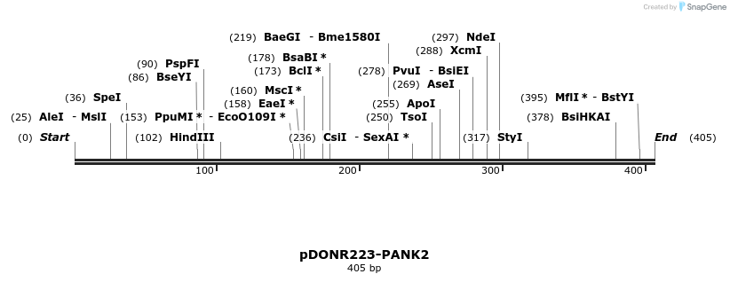 10742_map