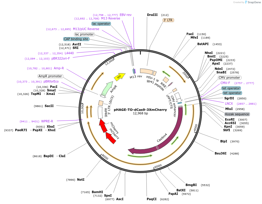107422_map