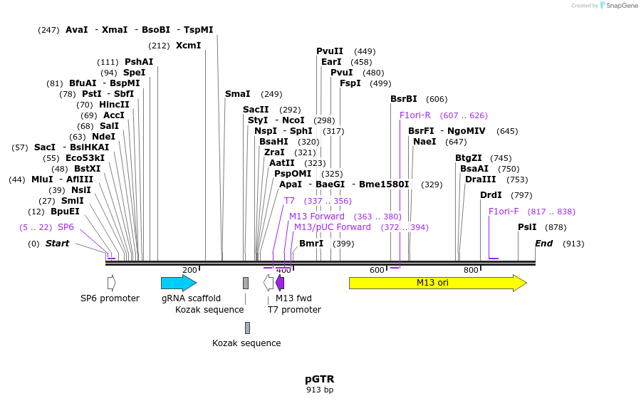 107448_map