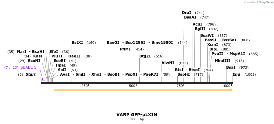 107451_map