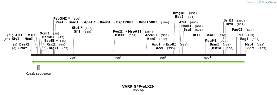 107452_map