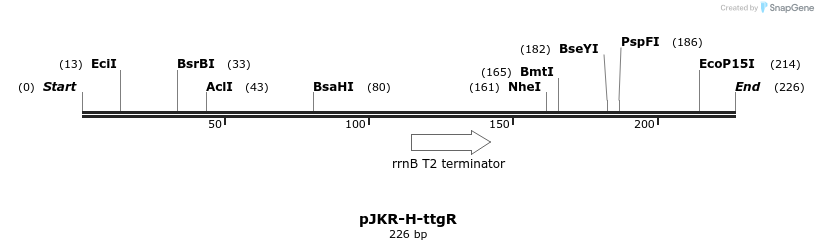 107454_map