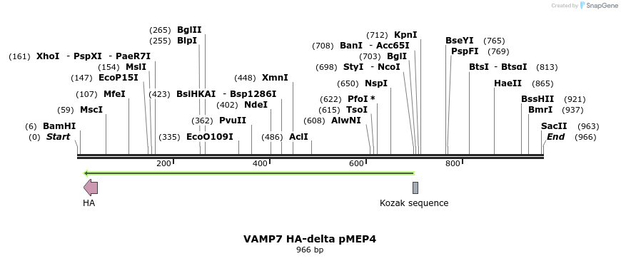 107455_map