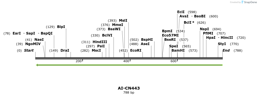 107463_map