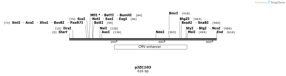 107466_map