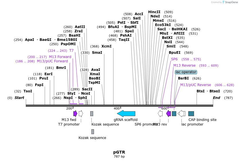 107470_map
