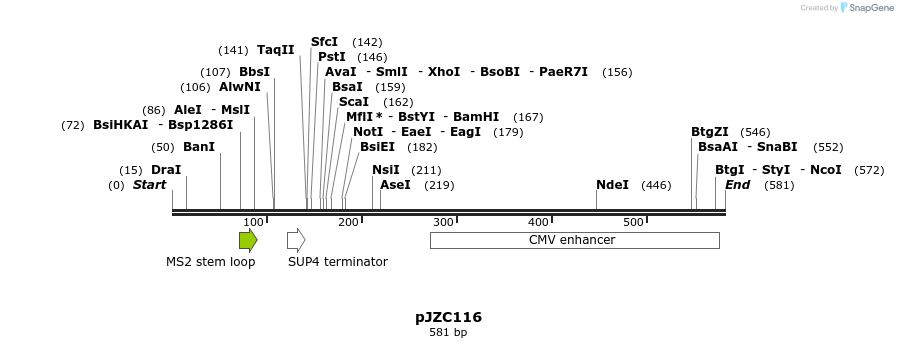 107477_map
