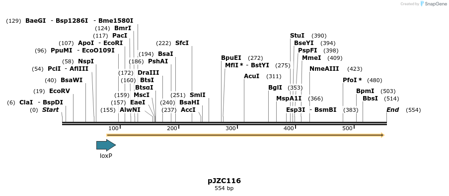 107479_map