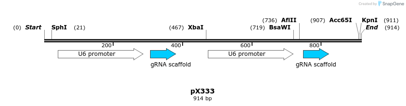 107496_map