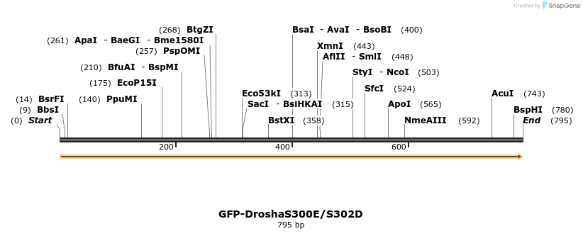 107497_map