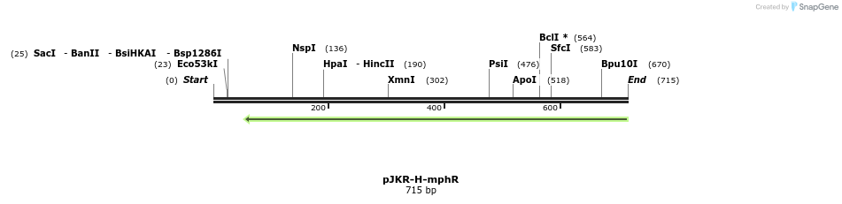 107509_map