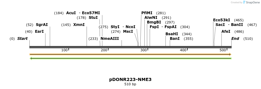 10751_map