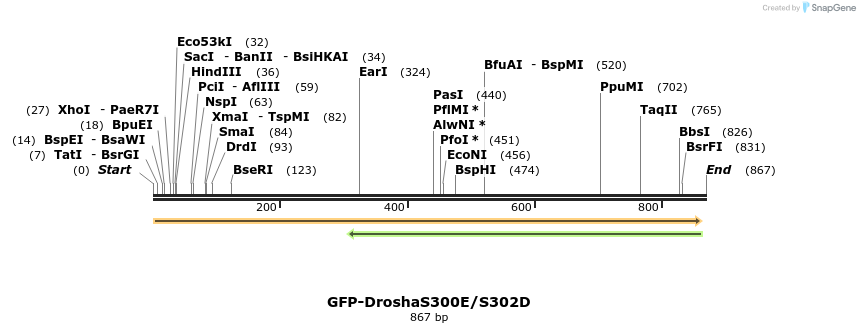 107513_map