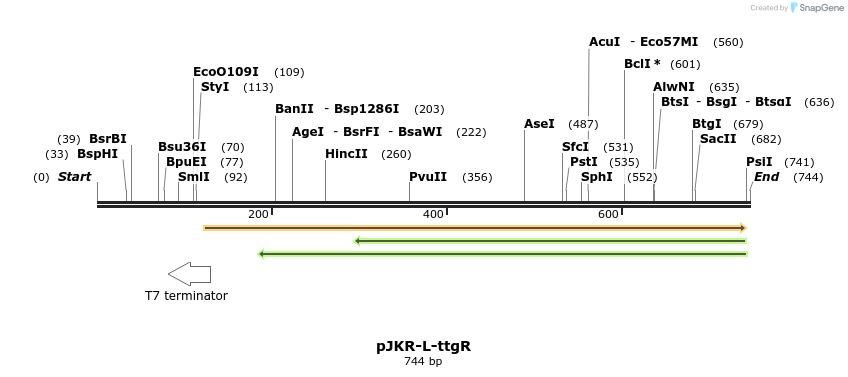 107515_map