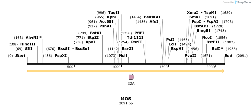 107521_map