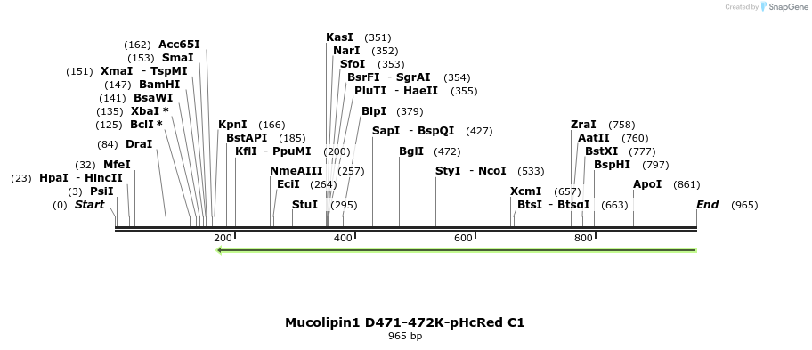 107527_map