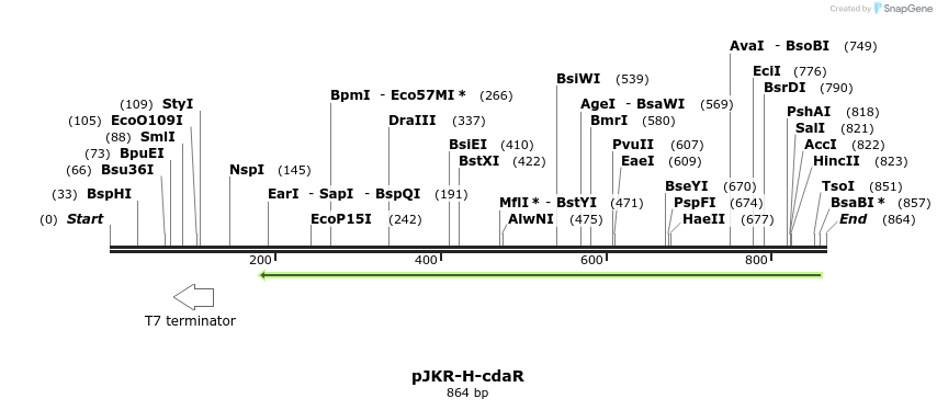 107534_map