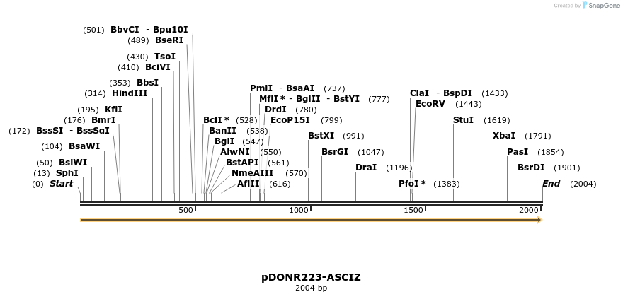 10754_map