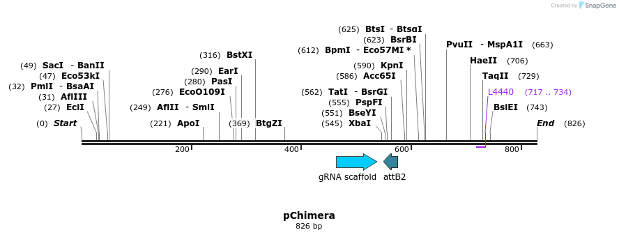 107540_map