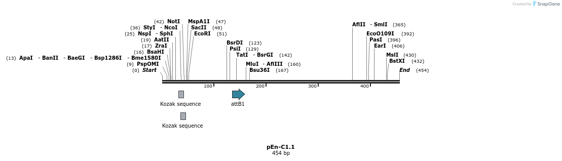 107555_map