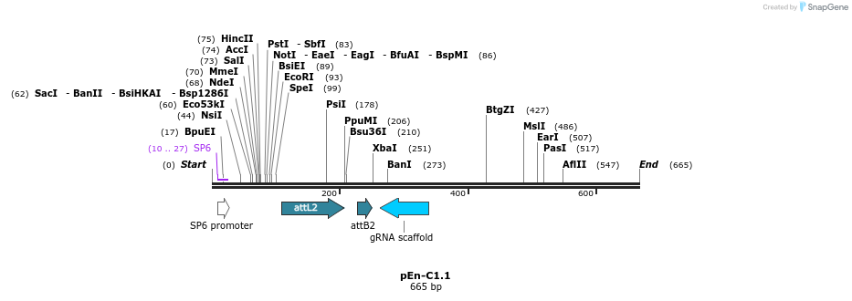 107557_map
