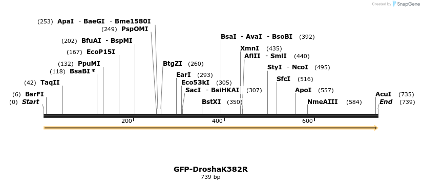 107559_map