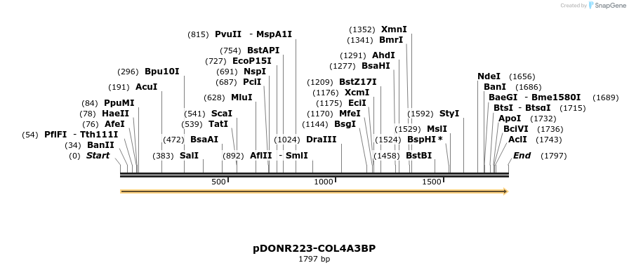 10756_map